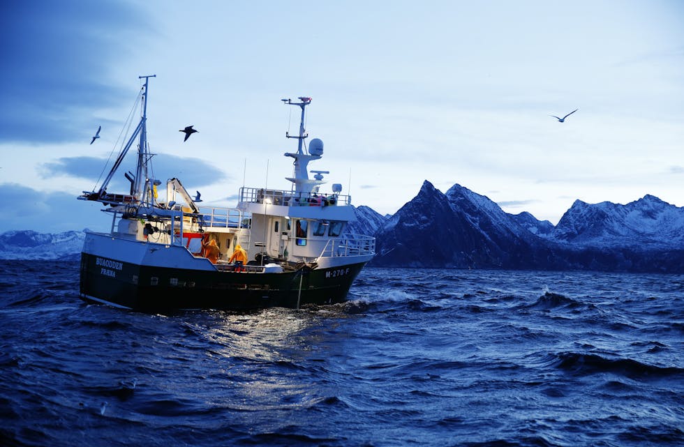Riksrevisjonen la tysdag fram ein rapport om kvotesystemet i kyst- og havfisket. Illustrasjonsfoto: Cornelius Poppe / NTB scanpix