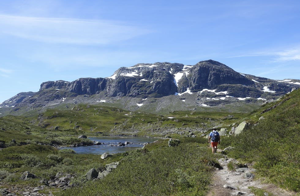 Den nye rapporten «Naturindeks for Norge 2020» viser at naturmangfaldet er under press i Norge. Foto: Marianne Løvland / NTB/ NPK